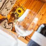 Chalet Appartement Alpenherz Chalet Saalbach-Hinterglemm