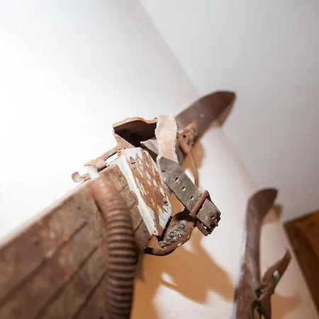 Alpehytte Alpenherz Saalbach-Hinterglemm